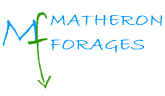 Matheron Forages Logo